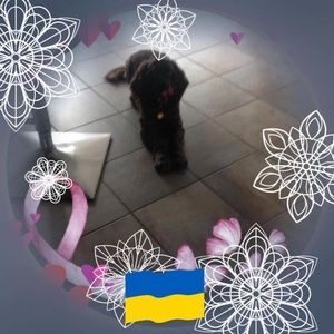 Meet your Posher, Paulette